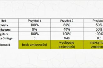Indeks Giniego: Klucz do zrozumienia nierówności społecznych i ich ukrytych prawd