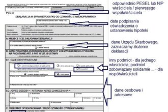 Jak łatwo złożyć deklarację PCC 3 online? Wszystko, co musisz wiedzieć o płatnościach przez internet!