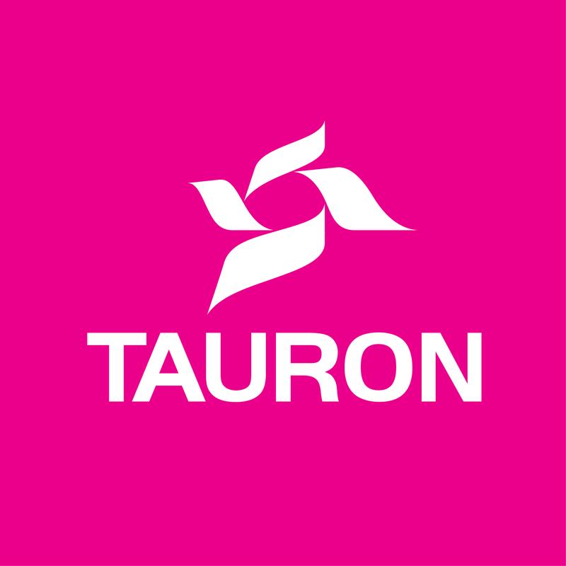 Analiza finansowa Tauron