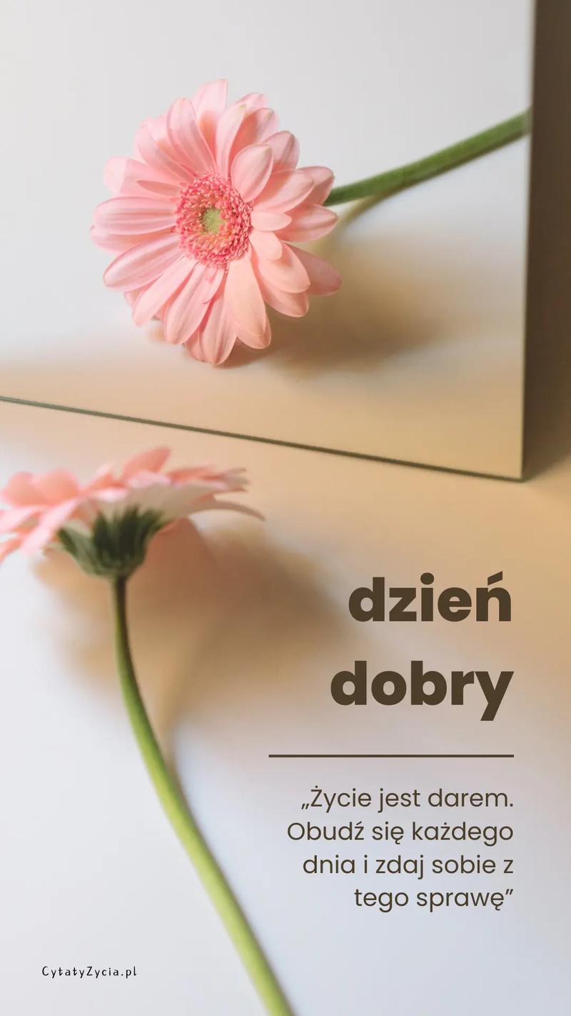 Rodzinne obrazki