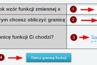 Krok po kroku: Jak korzystać z kalkulatora do obliczania granic ciągu