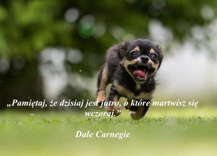 Humor w codziennym życiu