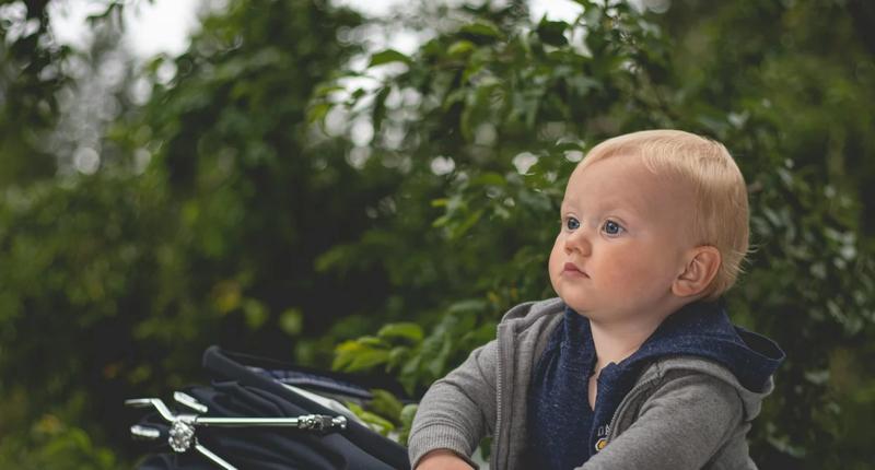 Spadek liczby urodzeń 2025