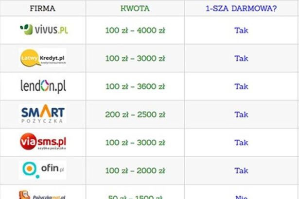 Jak skutecznie uzyskać pożyczkę dla firm bez BIK? Przewodnik krok po kroku