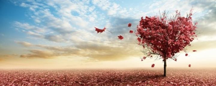 Pogodzenie się z nieodwzajemnioną miłością