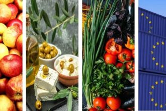 Polska na eksport: Oto 5 produktów, które podbijają świat!