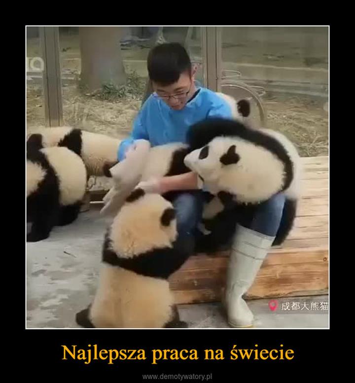 Elastyczność pracy i praca zdalna