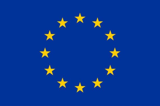 Jakie państwa członkowskie Unii Europejskiej w 2021 roku tworzą jej oblicze?