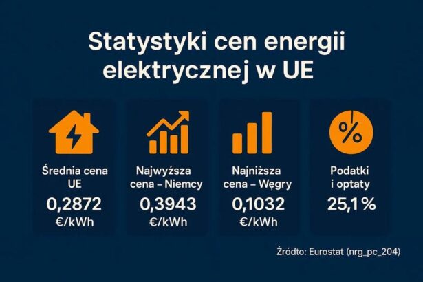 Niemcy w szoku: Niewiarygodne rekordy cen energii elektrycznej!