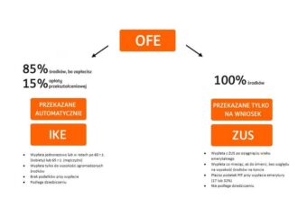 OFE w Pigułce: Co Tak Naprawdę Zdarzyło Się z Emerytalnymi Oszczędnościami?