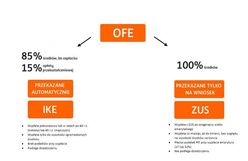 OFE w Pigułce: Co Tak Naprawdę Zdarzyło Się z Emerytalnymi Oszczędnościami?