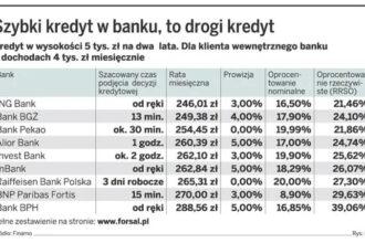 Szybkie kredyty online bez BIK – Pożyczka dla firm na wyciągnięcie ręki