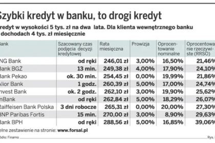 Szybkie kredyty online bez BIK – Pożyczka dla firm na wyciągnięcie ręki
