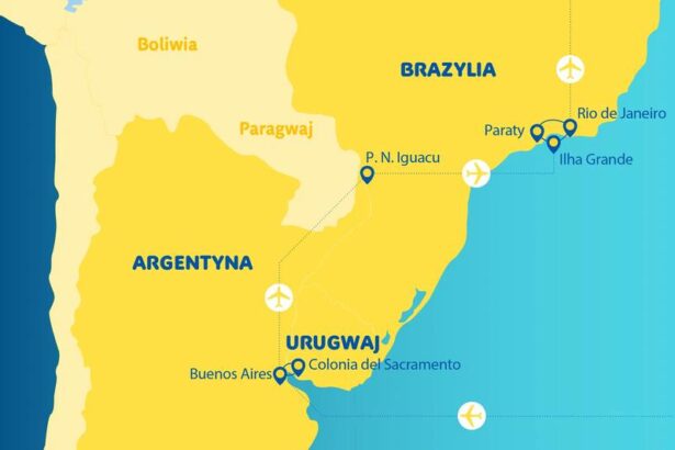 Zrozumienie przyczyn astronomicznych wartości inflacji w Argentynie
