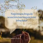 Lato w sercu: krótkie cytaty, które zachwycają i inspirują