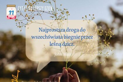 Lato w sercu: krótkie cytaty, które zachwycają i inspirują