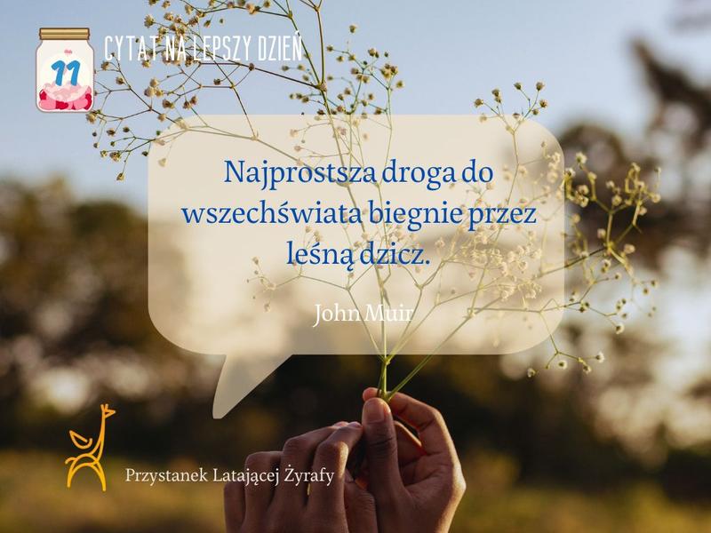 Lato w sercu: krótkie cytaty, które zachwycają i inspirują