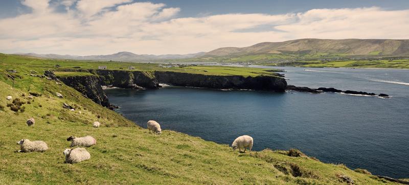 Podatki w Irlandii