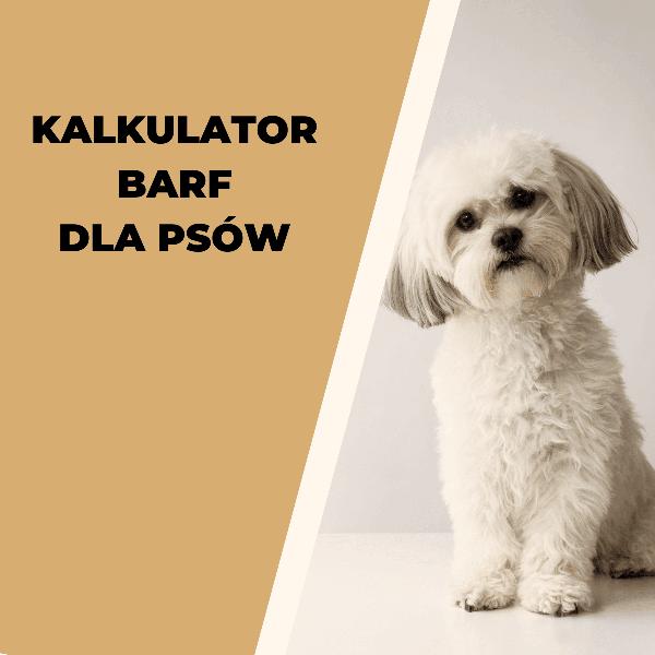 Bezpieczeństwo korzystania z kalkulatora