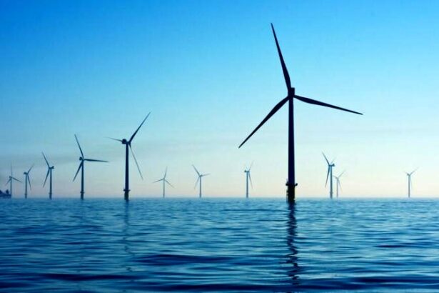 Czy farmy wiatrowe na Bałtyku rzeczywiście zrewolucjonizują polską energetykę?