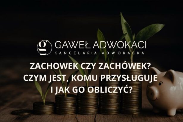 Umowa darowizny z dożywociem a zachówek — co warto wiedzieć przed podpisaniem