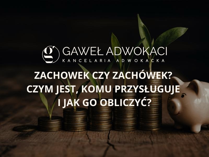 Umowa darowizny z dożywociem a zachówek — co warto wiedzieć przed podpisaniem