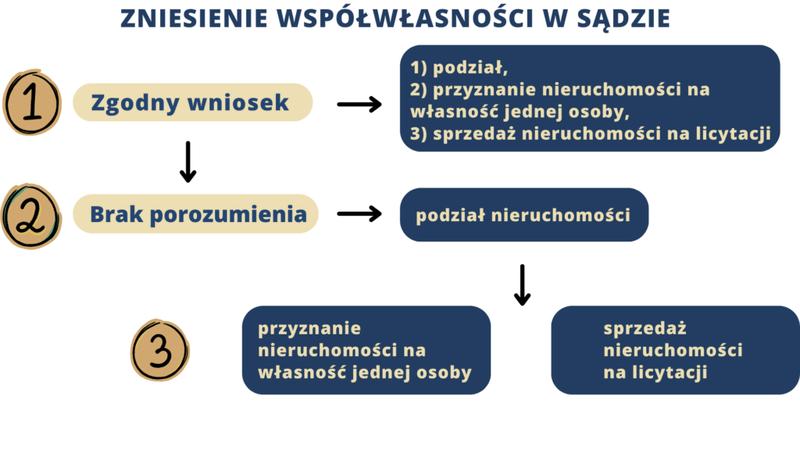 Podział udziałów po śmierci