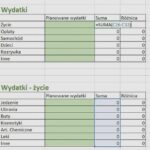 Jak prowadzić domowe finanse w Excelu? Prosty budżet od podstaw